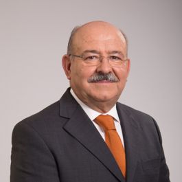 Júlio Ribeiro Órfão
