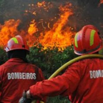 Batalha com Plano Municipal de Defesa da Floresta Contra Incêndios aprovado