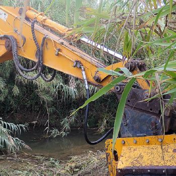 Trabalhos de limpeza do Rio Lena previnem risco de cheias