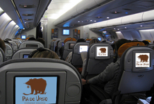 EcoParque da Pia do Urso "voa" a bordo dos aviões da TAP